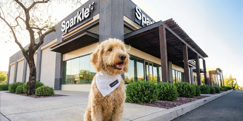 Sparkle Grooming Co. Franchise Opportunity Dallas–Fort Worth (DFW)