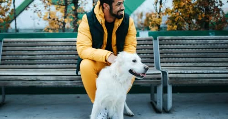 Sparkle Grooming Co. Franchise Opportunity Dallas–Fort Worth (DFW)